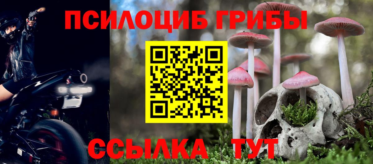 Псилоцибиновые грибы прущие грибы Нижневартовск